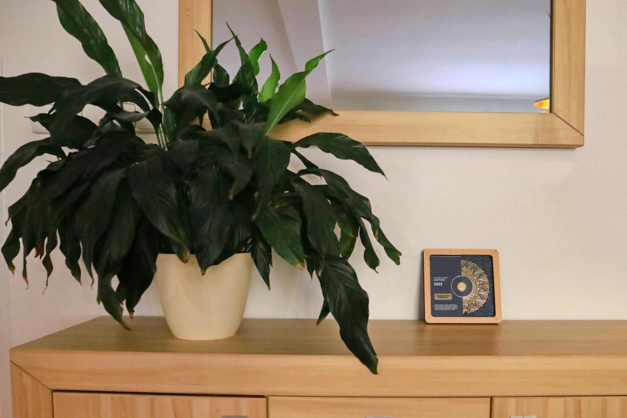 Apartmany Na Sumave Kasperske Hory Luaran gambar